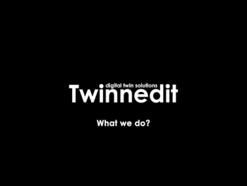 Twinnedit – What we do?